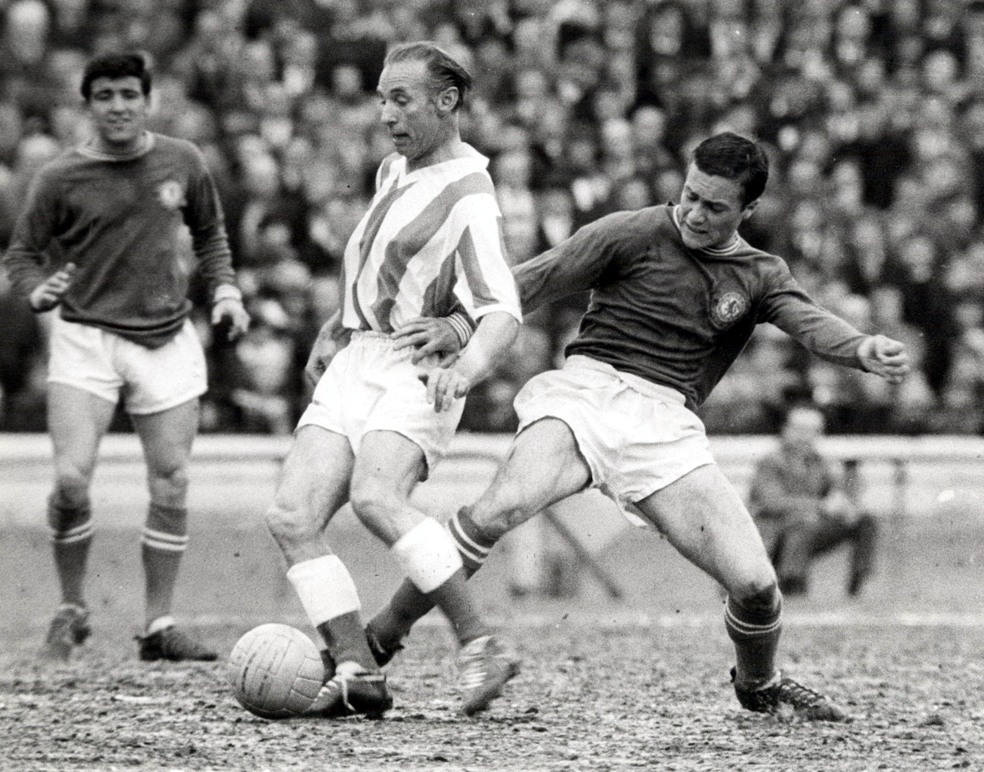 1963 年对付斯坦利·马修斯